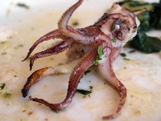 Tintenfisch auf Teller