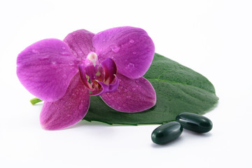 tabletten mit orchidee