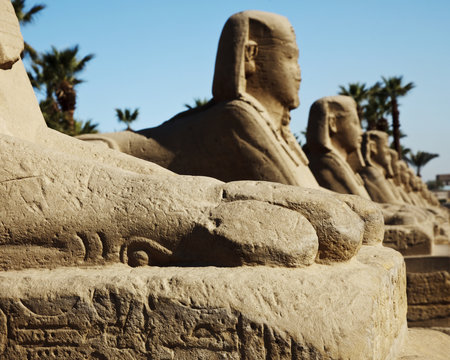 The Avenue Of The Sphinx At Luxor Temple