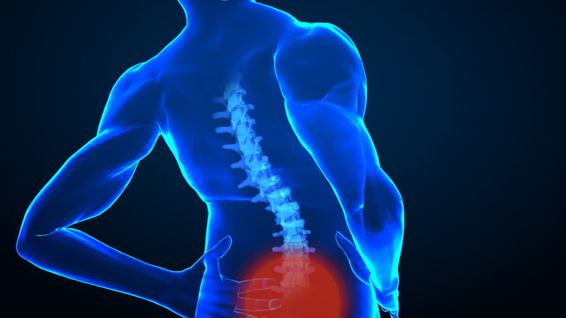 Pain in human spine concept with highlighted area