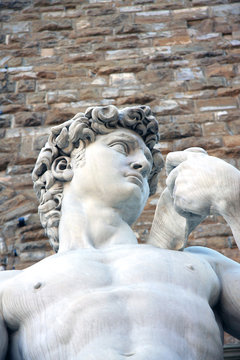 Torso de David de Miguelangel