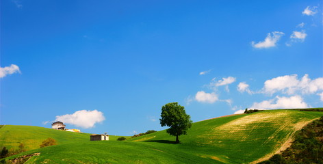 Naklejka premium Bright summer landscape
