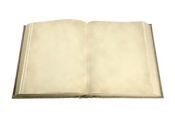An old book with moldy pages.