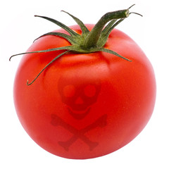 giftige Tomate