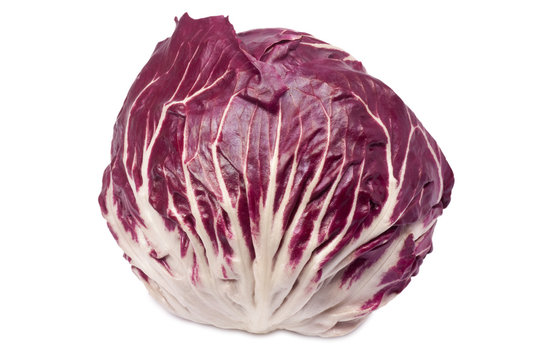 Einzelner Radicchio