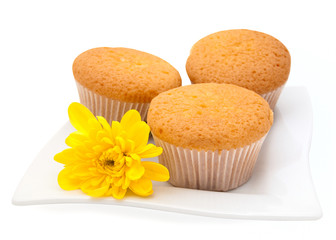 Gentle vanilla cakes on a white plate and a yellow camomile