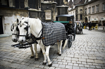 dorożka © Jakub Kałek