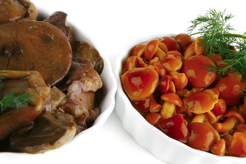 orange and white mushroom