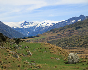 Fototapeta na wymiar Mount Cook over a grassy plain
