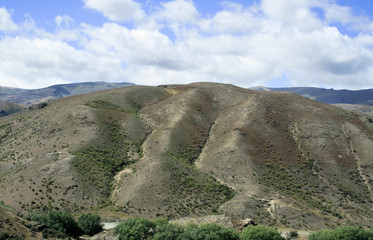 Rolling countryside in New Zealand