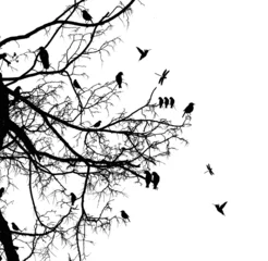 Papier Peint photo Oiseaux sur arbre arbre et oiseau