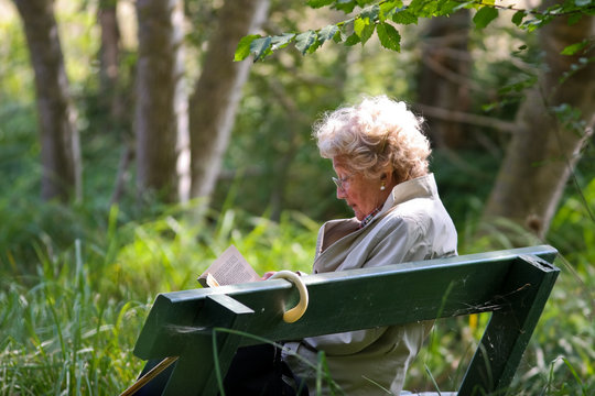la lectrice