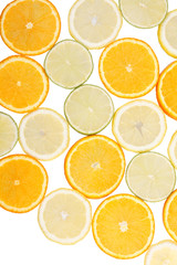 citrus collection.