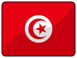 drapeau tunisie tunisia flag