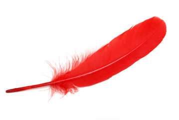 Red Feather