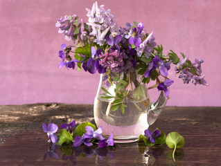 bouquet of spring flowers of forest in a jar