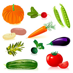 set vegetables