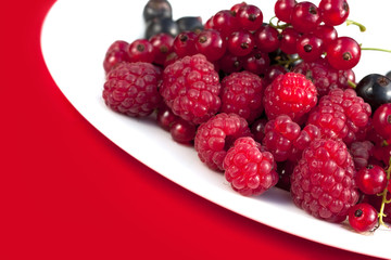 raspberry red and black currant