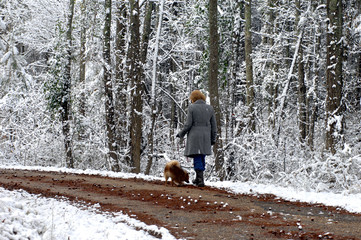 Ambling in the quiet woods