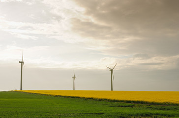 Power generation propellers at sunset