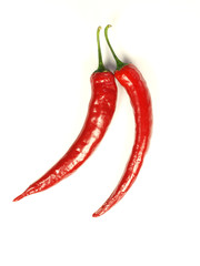 red hot chili peppers on white background