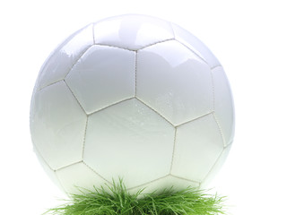 Fototapeta premium soccer ball on green grass