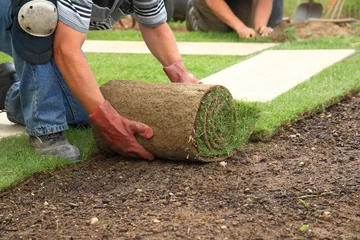 Deurstickers Laying sod for new lawn © Brebca
