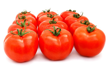 Tomatoes group