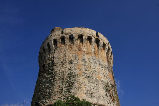 tour genoise corse (miomo)