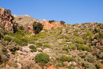 Phrygana landscape