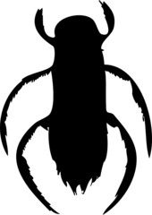 water bug vector isolated on white  illustration silhouette