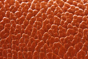 Tuinposter bruin patroon © M.Jenkins