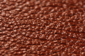 pattern (brown)