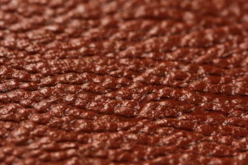 Washable wall murals Leather pattern (brown)