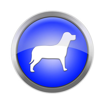 Azul Perro