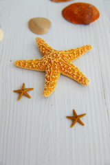 assorted ocean / beach objects( starfish ) on beach porch