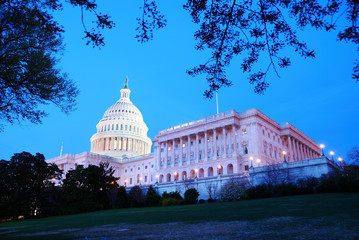US Capitol hill closeup, Washington DC