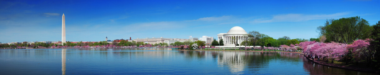 Washington DC - obrazy, fototapety, plakaty