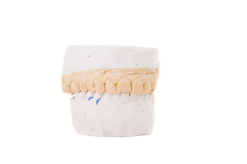 teeth plaster cast. Close up on white background