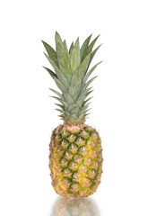 Obraz premium Pineapple