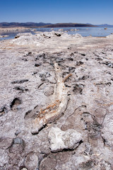 Mono Lake