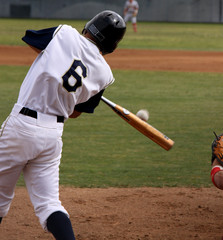 Baseball Action