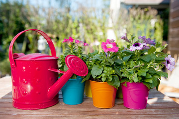 Flowers and watering can