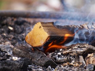 Bonfire