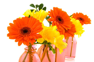 Colorful flowers in glass vases