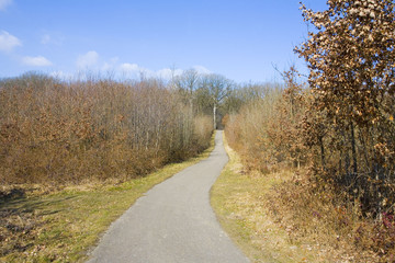 Fototapeta premium france,île de france,78 : vallée de chevreuse, route forestiere