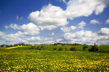 Landscape with grass fields in the Eifel
