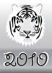 vektor for your design