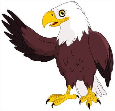 American bald eagle presenting