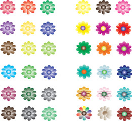 colorful flower collection